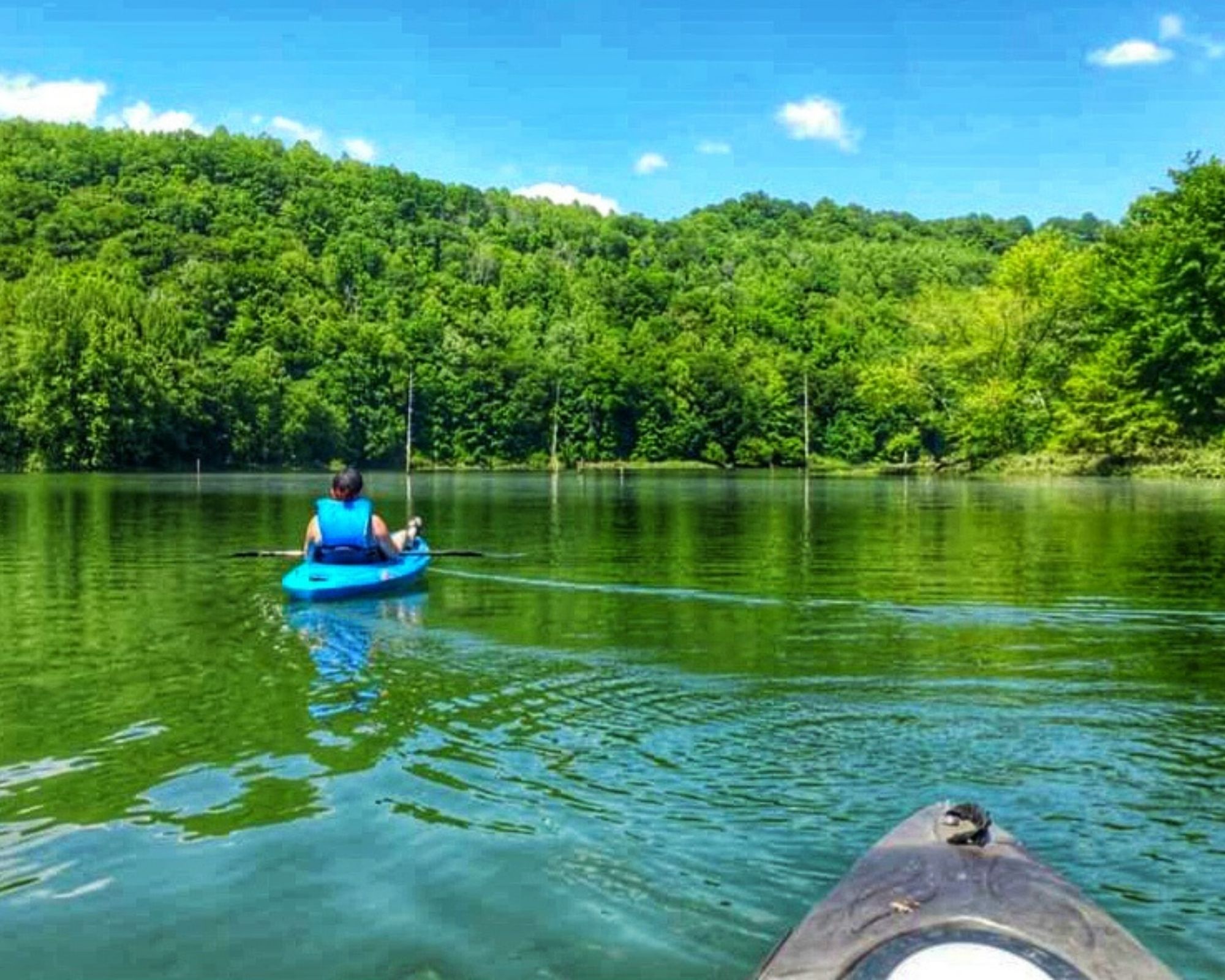 Kayaking and Canoeing in Harlan County 极速赛车